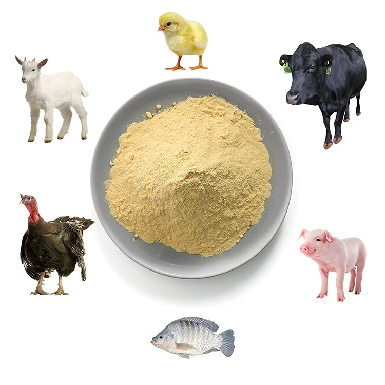 live yeast for cattle